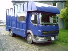 Leyland-DAF-45-130-plate-3-horse-Horsebox-2001