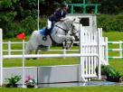 148cm-JA-Big-Track-Showjumper-Ardrahan-Andy