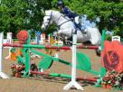 148cm-JA-Big-Track-Showjumper-Ardrahan-Andy