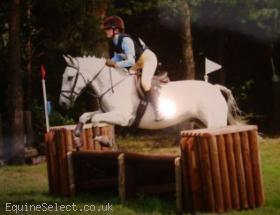 CONFIDANCE GIVING ALLROUNDER