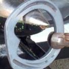 Registered Farrier Derby/Derbyshire