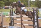 TOP 138 JA JUMPING PONY