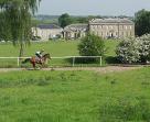 PANAMA SPORT HORSES