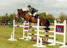 PANAMA SPORT HORSES