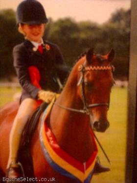 128cm Show/Dressage Pony
