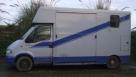 Vauxhall Movano 3.5 ton 2 Horse Lorry