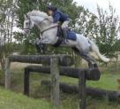 Talented Allrounder