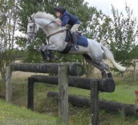 Talented Allrounder
