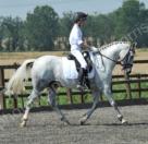 Talented Allrounder