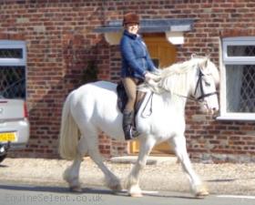 Super Natured Cob With No Vices