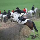 Super Hunting and Pony Club Pony