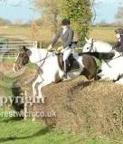 Super Hunting and Pony Club Pony