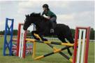 Fantastic Allround Competition Pony 