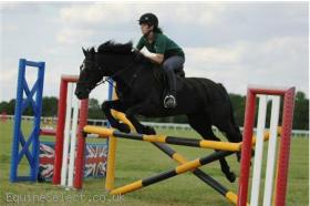 Fantastic Allround Competition Pony 