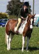 Cracking Pony Club Pony