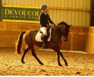-True-competition-pony-with-a-perfect-character