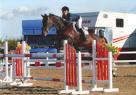 Talented Show Jumper 
