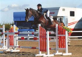 Talented Show Jumper 