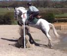 Smart Competition Horse