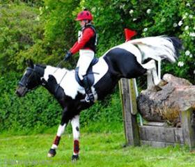 SUPER TALENTED PONY