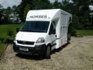 Vauxhall-Movano-horsesbox-for-sale