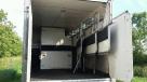 5-Horse-Iveco-75E180