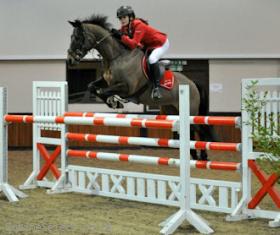JC Showjumper 