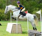 Dressage/Event