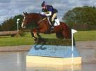 Quality eventer / grass roots schoolmaster
