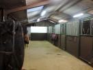 Bunkers-Hill-Livery-and-Training