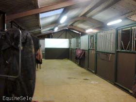Bunkers-Hill-Livery-and-Training