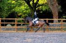 Full-Livery-Yard-Manor-Farm-Equestrian-Centre