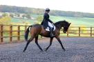 Full-Livery-Yard-Manor-Farm-Equestrian-Centre