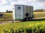 Horse-Trailer-Ifor-Williams-HB510-Classic-in-silve